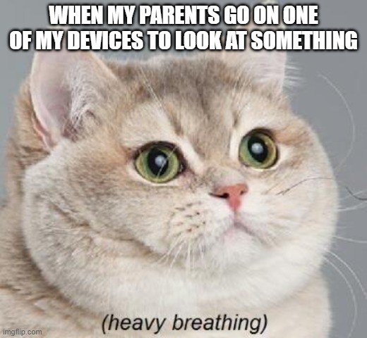 Heavy Breathing Cat | WHEN MY PARENTS GO ON ONE OF MY DEVICES TO LOOK AT SOMETHING | image tagged in memes,heavy breathing cat | made w/ Imgflip meme maker