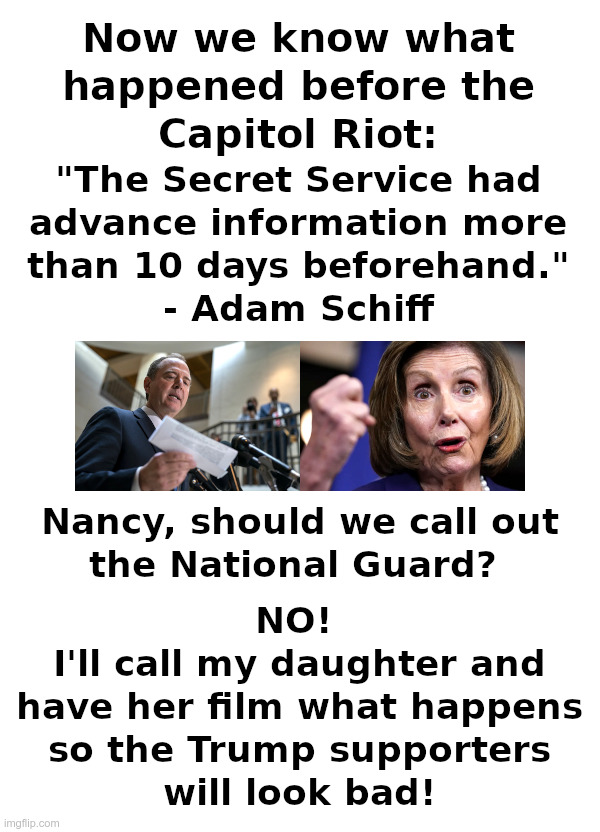 Now We Know What Happened | image tagged in adam schiff,nancy pelosi,secret service,national guard,capitol,riot | made w/ Imgflip meme maker