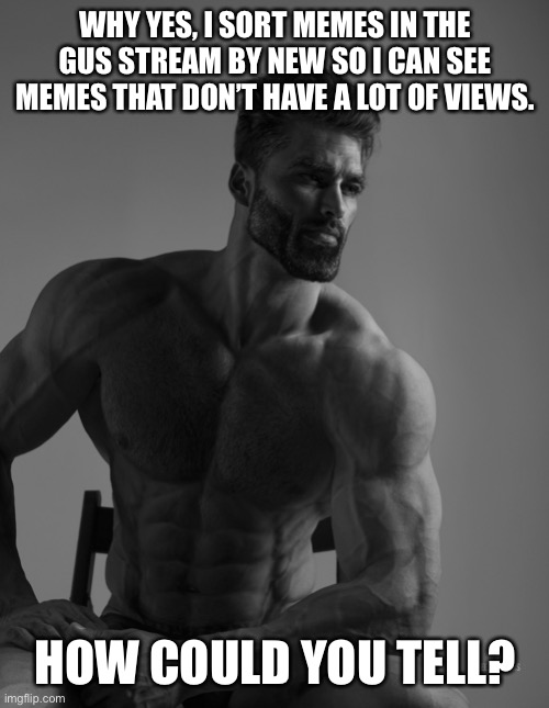 Who else does this? | WHY YES, I SORT MEMES IN THE GUS STREAM BY NEW SO I CAN SEE MEMES THAT DON’T HAVE A LOT OF VIEWS. HOW COULD YOU TELL? | image tagged in giga chad,fun,new,memes,gigachad | made w/ Imgflip meme maker