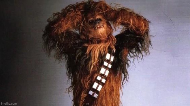 Wookiee | image tagged in wookiee | made w/ Imgflip meme maker