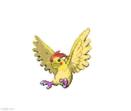 Pidgeotto + Pikachu = Pikaotto | image tagged in pikaotto,pikachu,pidegotto,fusions,pokemon | made w/ Imgflip meme maker