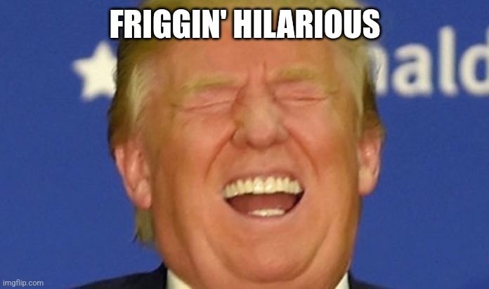 Trump laughing | FRIGGIN' HILARIOUS | image tagged in trump laughing | made w/ Imgflip meme maker