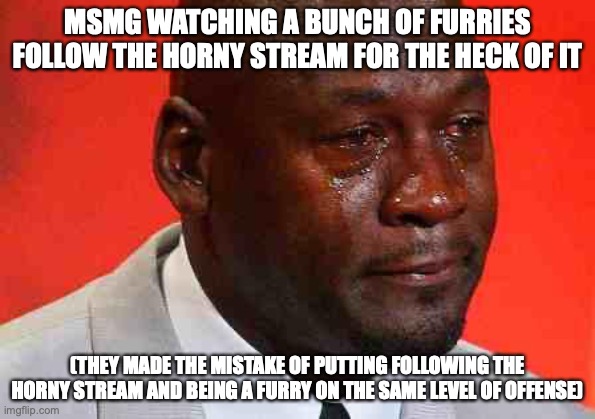 crying michael jordan | MSMG WATCHING A BUNCH OF FURRIES FOLLOW THE HORNY STREAM FOR THE HECK OF IT; (THEY MADE THE MISTAKE OF PUTTING FOLLOWING THE HORNY STREAM AND BEING A FURRY ON THE SAME LEVEL OF OFFENSE) | image tagged in crying michael jordan | made w/ Imgflip meme maker