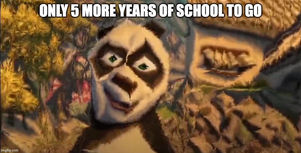 high school | ONLY 5 MORE YEARS OF SCHOOL TO GO | image tagged in kung fu panda,school | made w/ Imgflip meme maker