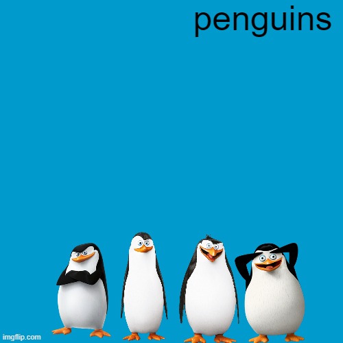 if the penguins of madagascar had a music album | penguins | image tagged in blank weezer blue album edit,universal studios,dreamworks,penguins,music | made w/ Imgflip meme maker