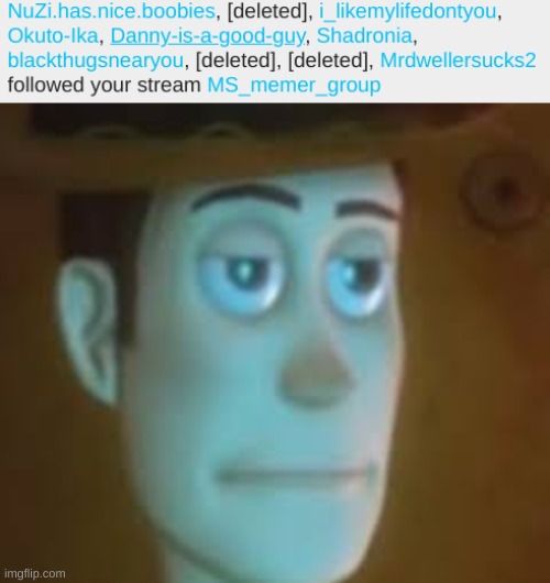 bruh (Referring to the ones about Zi and Daniel here) | image tagged in disappointed woody | made w/ Imgflip meme maker