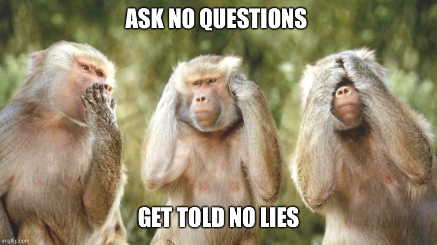 Sound advice in life | ASK NO QUESTIONS; GET TOLD NO LIES | image tagged in 3 monkeys,questions,ask,lies | made w/ Imgflip meme maker