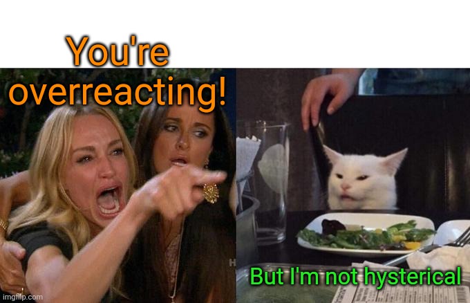 Woman Yelling At Cat Meme | You're overreacting! But I'm not hysterical | image tagged in memes,woman yelling at cat | made w/ Imgflip meme maker