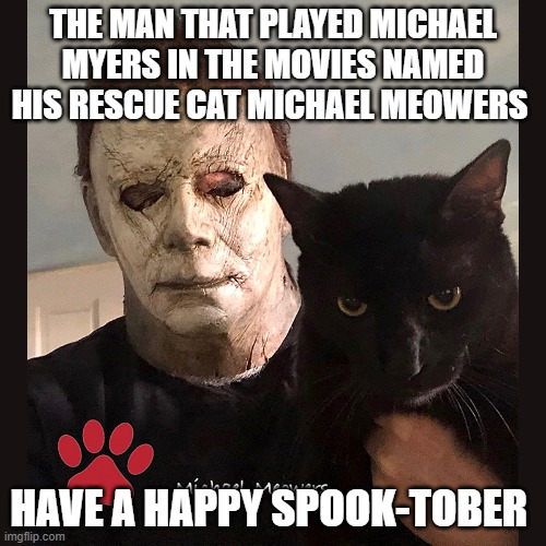 Michael meowers | THE MAN THAT PLAYED MICHAEL MYERS IN THE MOVIES NAMED HIS RESCUE CAT MICHAEL MEOWERS; HAVE A HAPPY SPOOK-TOBER | image tagged in cat,michael myers,spooktober | made w/ Imgflip meme maker