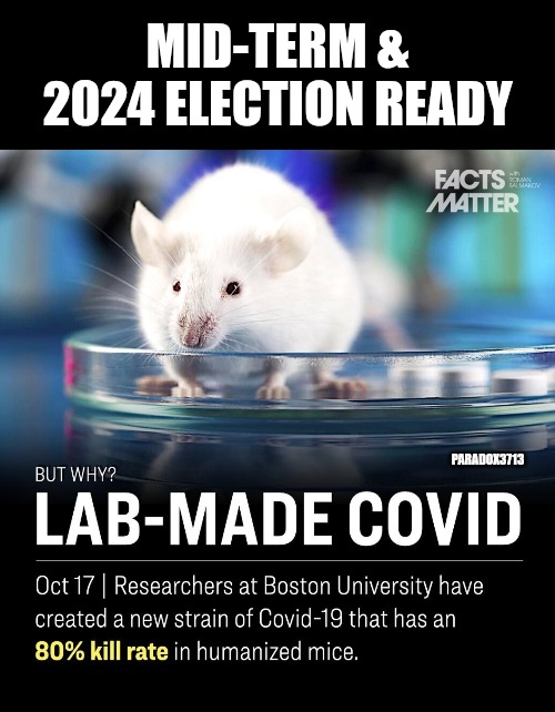 Boston Univ: COVID Bioweapon failed...boost kill rate to 80%! | MID-TERM & 2024 ELECTION READY; PARADOX3713 | image tagged in memes,politics,covid,boston,cdc,pandemic | made w/ Imgflip meme maker