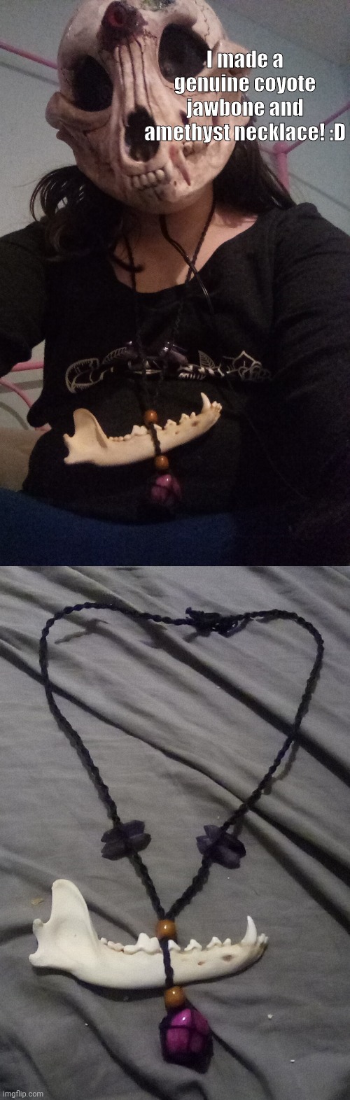 (no idea what the pink stone is, i got it at a gift shop lmao) | I made a genuine coyote jawbone and amethyst necklace! :D | made w/ Imgflip meme maker
