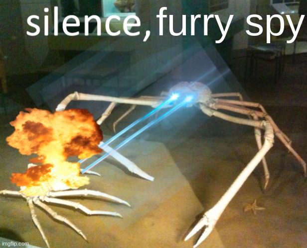 Post this in every furry stream this is a backup for the raid since it didn't happen | furry spy | image tagged in silence crab | made w/ Imgflip meme maker