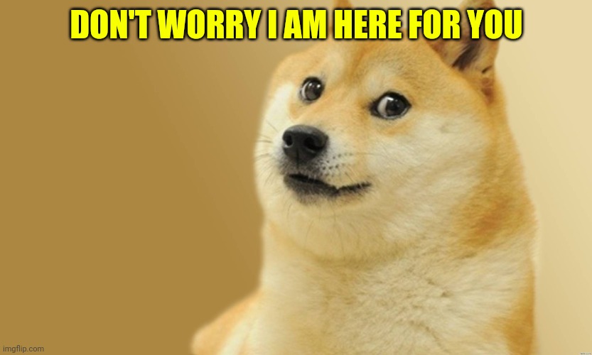 Doge Meme | DON'T WORRY I AM HERE FOR YOU | image tagged in doge meme | made w/ Imgflip meme maker