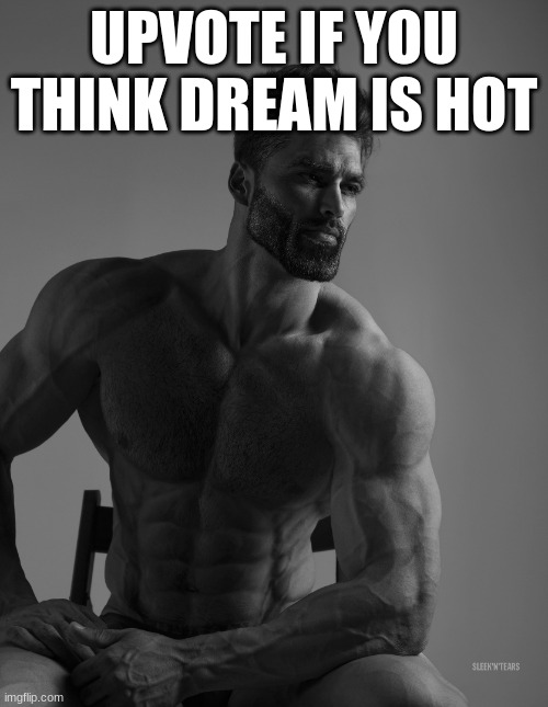 Giga Chad | UPVOTE IF YOU THINK DREAM IS HOT | image tagged in giga chad | made w/ Imgflip meme maker