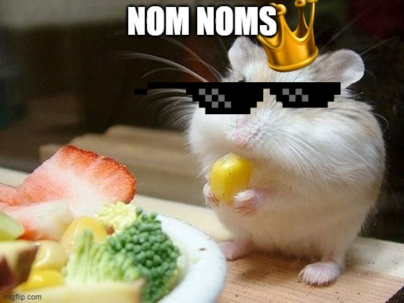 now now!!!!!!!!! | NOM NOMS | image tagged in nom nom nom | made w/ Imgflip meme maker