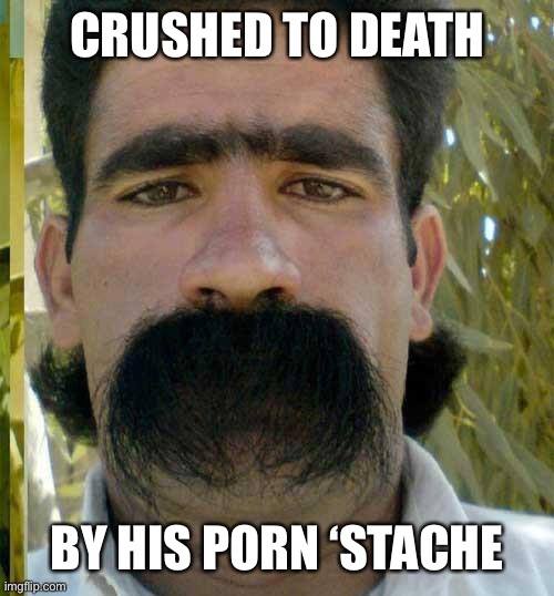 Porn Stache | CRUSHED TO DEATH BY HIS PORN ‘STACHE | image tagged in moustache,crush,death | made w/ Imgflip meme maker