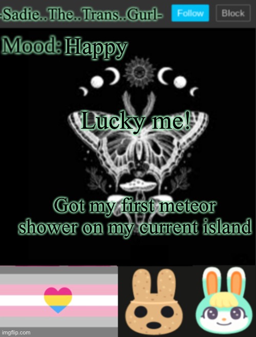 Ye | Happy; Lucky me! Got my first meteor shower on my current island | image tagged in sadiesannouncement temp | made w/ Imgflip meme maker