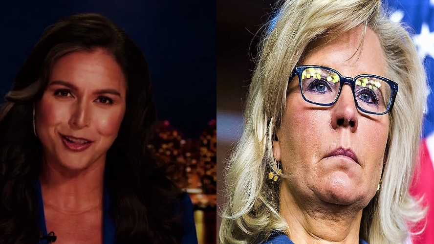 Dems lose Tulsi and gain Liz Blank Meme Template