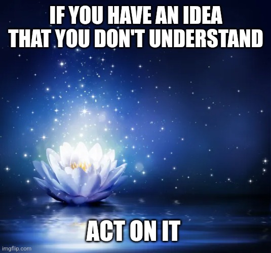 Flowering Ideas | IF YOU HAVE AN IDEA THAT YOU DON'T UNDERSTAND; ACT ON IT | image tagged in ideas,flowers,society,purpose,understanding,faith | made w/ Imgflip meme maker