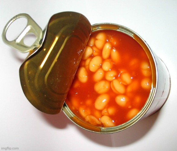 Can of beans | image tagged in can of beans | made w/ Imgflip meme maker