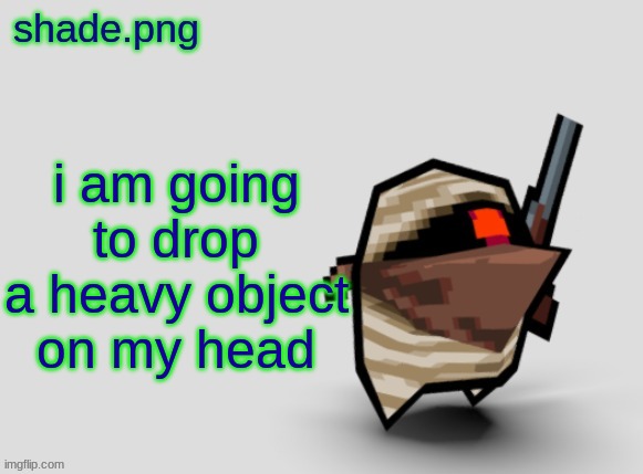 shade.png's  bandit temp. | i am going to drop a heavy object on my head | image tagged in shade png's bandit temp | made w/ Imgflip meme maker