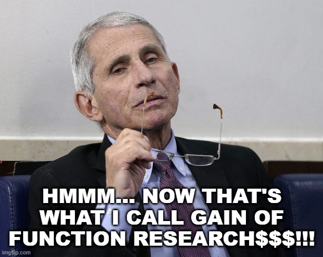 Dr. Fauci | HMMM... NOW THAT'S WHAT I CALL GAIN OF FUNCTION RESEARCH$$$!!! | image tagged in dr fauci | made w/ Imgflip meme maker