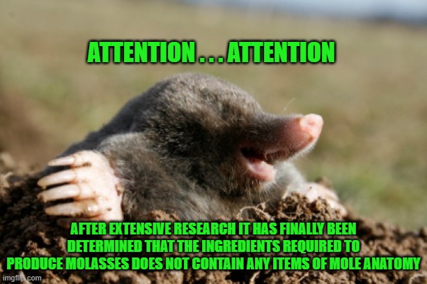 molasses | ATTENTION . . . ATTENTION; AFTER EXTENSIVE RESEARCH IT HAS FINALLY BEEN DETERMINED THAT THE INGREDIENTS REQUIRED TO PRODUCE MOLASSES DOES NOT CONTAIN ANY ITEMS OF MOLE ANATOMY | image tagged in daily cooking lesson | made w/ Imgflip meme maker