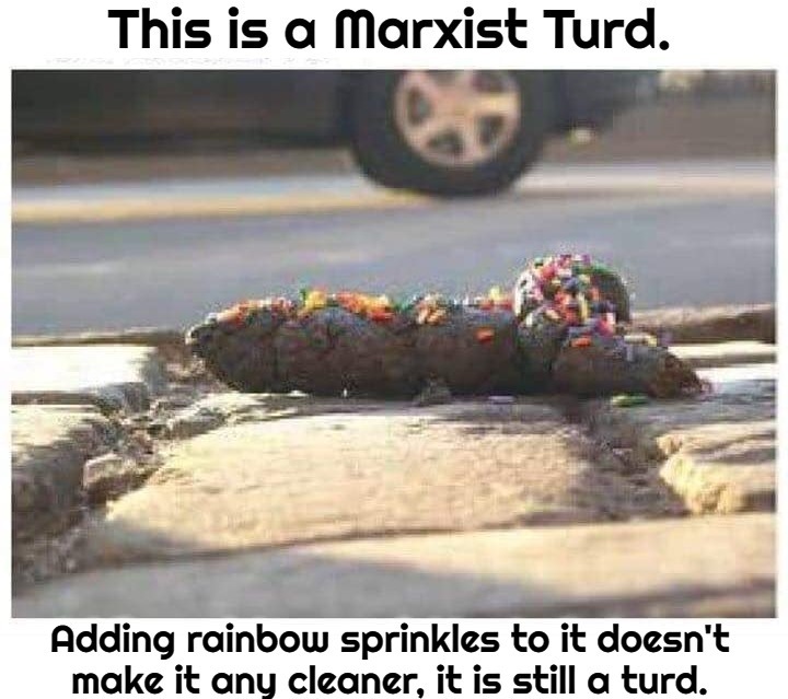 You can't pick up a turd by the clean end. | image tagged in turd,poop,marxism,communism,marxist,tulsi gabbard | made w/ Imgflip meme maker