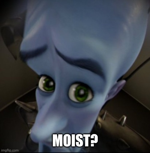 Mega Mind | MOIST? | image tagged in mega mind | made w/ Imgflip meme maker