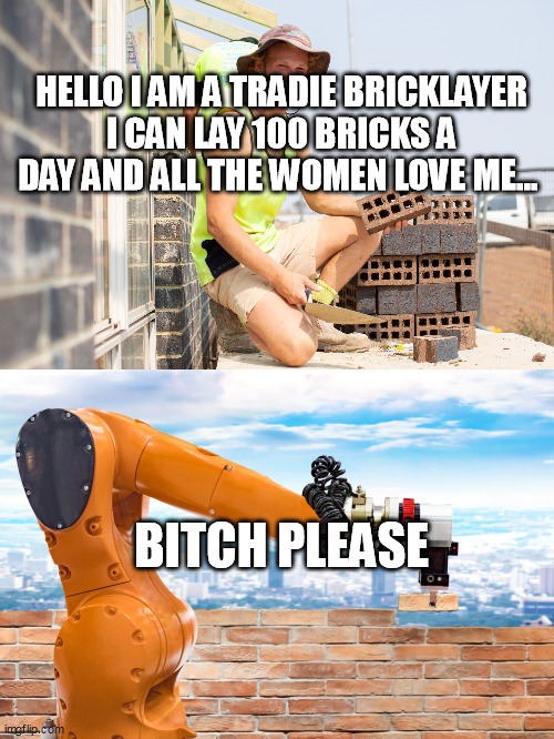 Bitch please Tradie | HELLO I AM A TRADIE BRICKLAYER I CAN LAY 100 BRICKS A DAY AND ALL THE WOMEN LOVE ME... BITCH PLEASE | image tagged in bitch please,tradie,australia,robot,building | made w/ Imgflip meme maker
