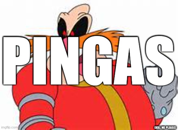 Pingas |  PINGAS; (KILL ME PLEASE) | image tagged in pingas,funny | made w/ Imgflip meme maker