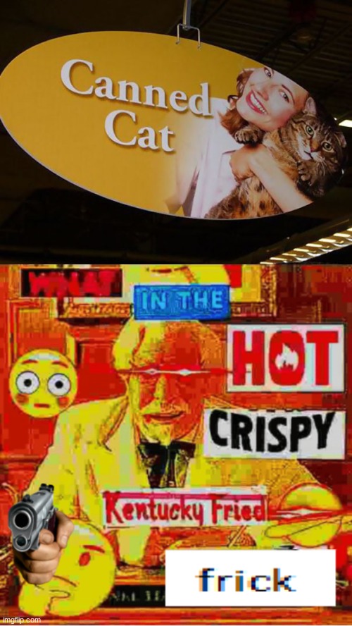 What in the hot crispy kentucky fried frick | image tagged in what in the hot crispy kentucky fried frick,lol,you had one job,you had one job just the one,lol so funny,funny | made w/ Imgflip meme maker