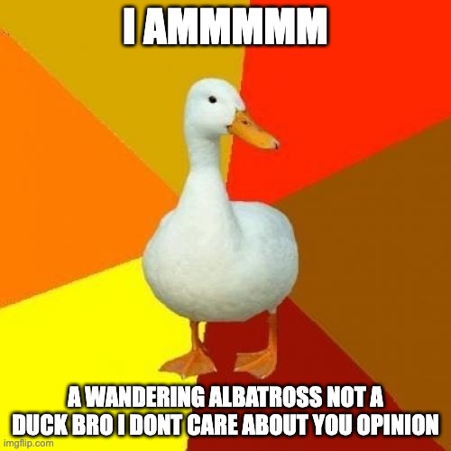Tech Impaired Duck Meme | I AMMMMM; A WANDERING ALBATROSS NOT A DUCK BRO I DONT CARE ABOUT YOU OPINION | image tagged in memes,tech impaired duck | made w/ Imgflip meme maker