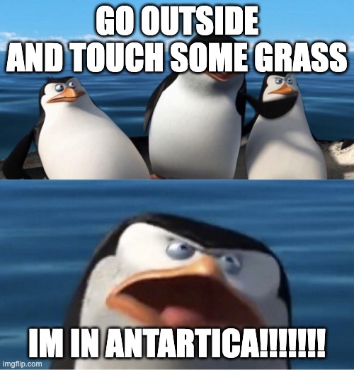 Wouldn't that make you | GO OUTSIDE AND TOUCH SOME GRASS; IM IN ANTARTICA!!!!!!! | image tagged in wouldn't that make you | made w/ Imgflip meme maker