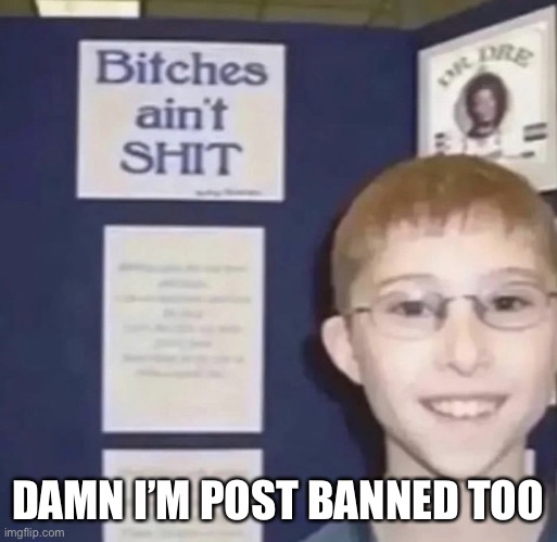 Bitches ain’t shit | DAMN I’M POST BANNED TOO | image tagged in bitches ain t shit | made w/ Imgflip meme maker
