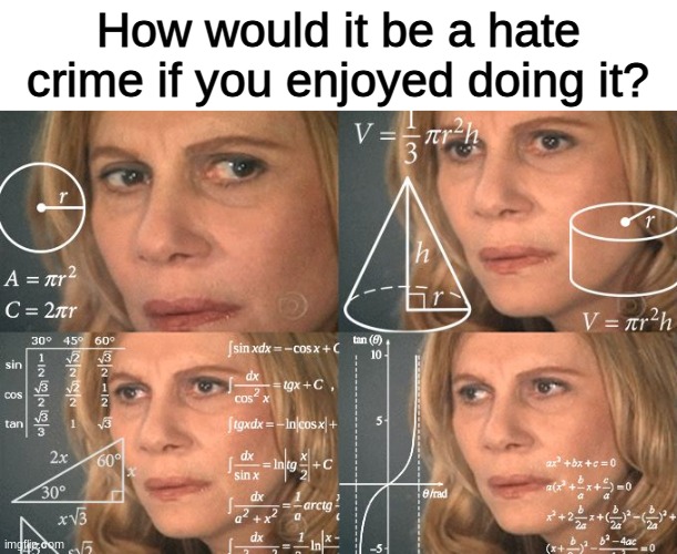"Your honor, my client says he did not commit a hate crime. He liked doing it" | How would it be a hate crime if you enjoyed doing it? | image tagged in calculating meme,funny,memes,gifs,not really a gif,stop reading the tags | made w/ Imgflip meme maker
