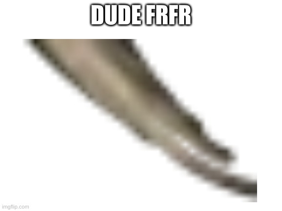 DUDE FRFR | made w/ Imgflip meme maker