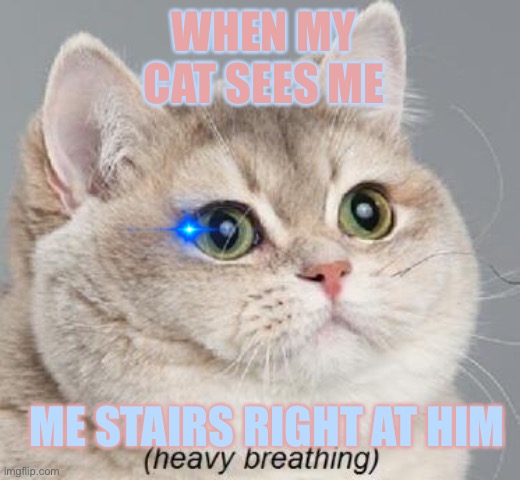 Heavy Breathing Cat | WHEN MY CAT SEES ME; ME STAIRS RIGHT AT HIM | image tagged in memes,heavy breathing cat | made w/ Imgflip meme maker