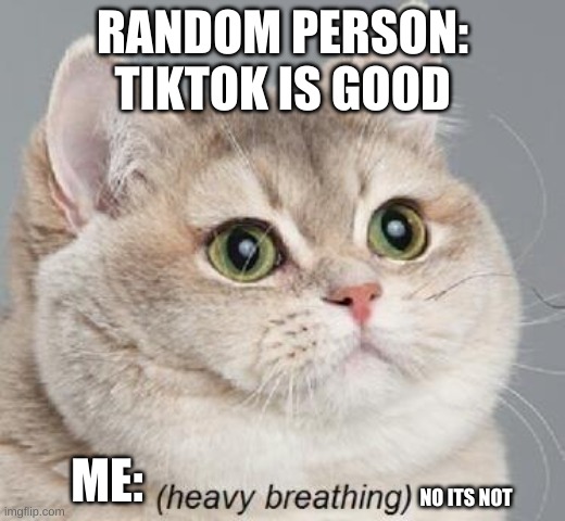 Heavy Breathing Cat | RANDOM PERSON: TIKTOK IS GOOD; ME:; NO ITS NOT | image tagged in memes,heavy breathing cat | made w/ Imgflip meme maker