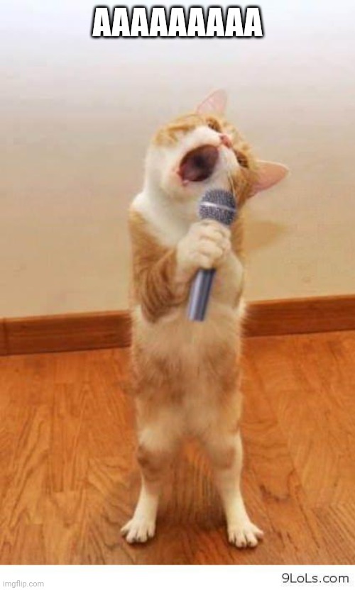 Cat Singer | AAAAAAAAA | image tagged in cat singer | made w/ Imgflip meme maker