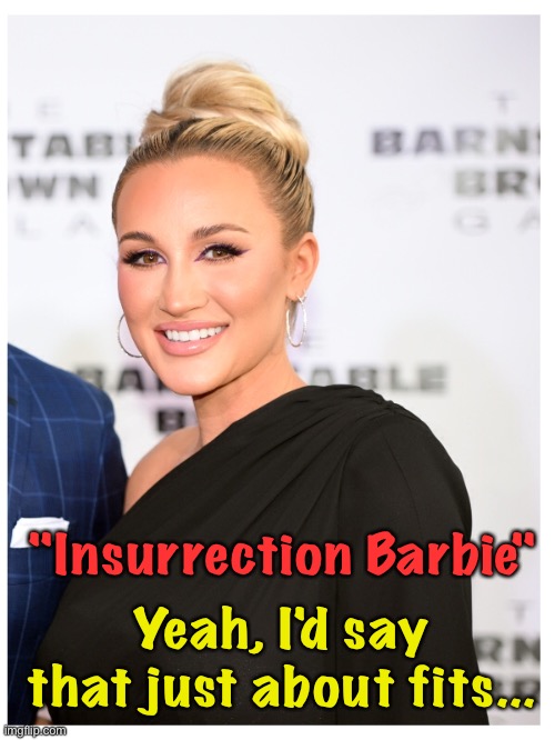 Brittany Aldean | "Insurrection Barbie"; Yeah, I'd say that just about fits... | image tagged in brittany aldean | made w/ Imgflip meme maker