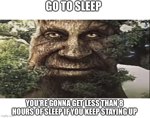 Wise mystical tree | GO TO SLEEP; YOU’RE GONNA GET LESS THAN 8 HOURS OF SLEEP IF YOU KEEP STAYING UP | image tagged in wise mystical tree | made w/ Imgflip meme maker