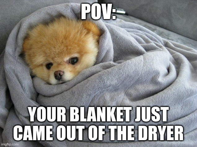 No one could understand the comfort | POV:; YOUR BLANKET JUST CAME OUT OF THE DRYER | image tagged in bundled up doggo | made w/ Imgflip meme maker