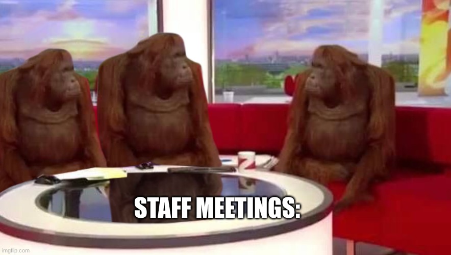 staff | STAFF MEETINGS: | image tagged in where monkey | made w/ Imgflip meme maker