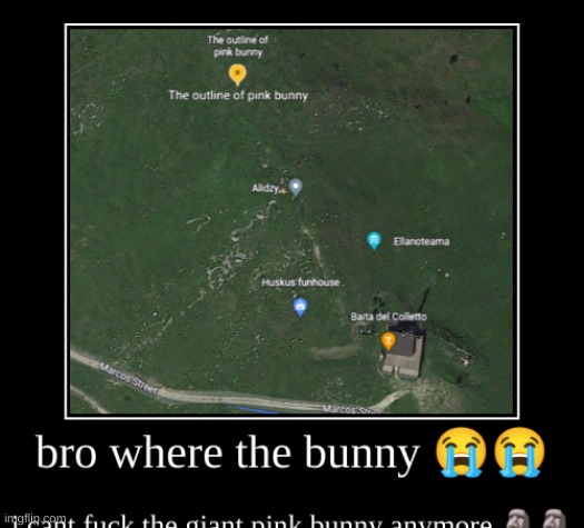 truly one of the moments of all time | image tagged in memes,funny,demotivationals,bunny,is this even a /j anymore,also hot google maps bunny from italy | made w/ Imgflip meme maker