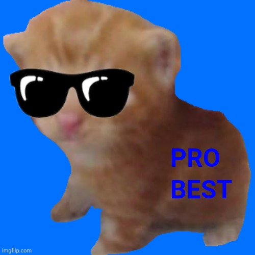 Pro herbert | PRO; BEST | image tagged in herbert | made w/ Imgflip meme maker