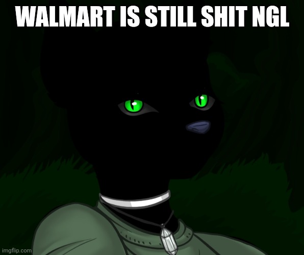 My new panther fursona | WALMART IS STILL SHIT NGL | image tagged in my new panther fursona | made w/ Imgflip meme maker