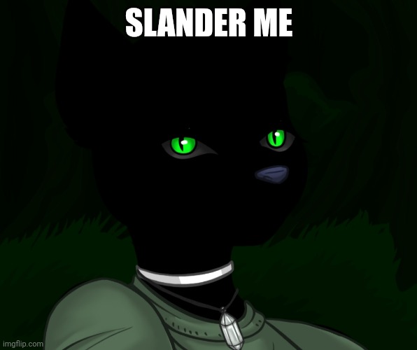 My new panther fursona | SLANDER ME | image tagged in my new panther fursona | made w/ Imgflip meme maker