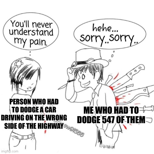You'll never understand my pain | ME WHO HAD TO DODGE 547 OF THEM; PERSON WHO HAD TO DODGE A CAR DRIVING ON THE WRONG SIDE OF THE HIGHWAY | image tagged in you'll never understand my pain | made w/ Imgflip meme maker