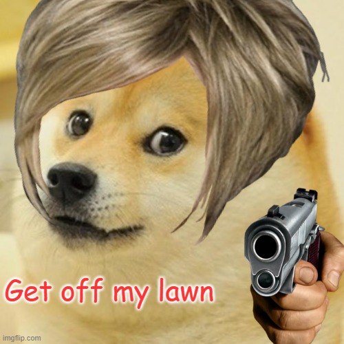 Karen doge | Get off my lawn | image tagged in karen,doge,gun,fun,funny,silly | made w/ Imgflip meme maker